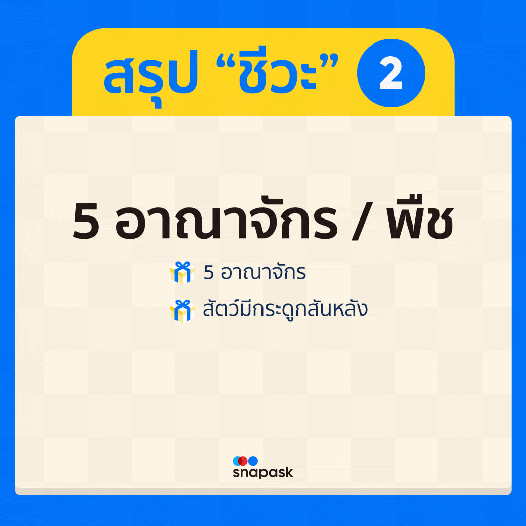  5 อาณาจักรและสัตว์มีกระดูสันหลัง